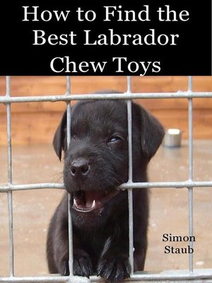 cover image of How to Find the Best Labrador Chew Toys